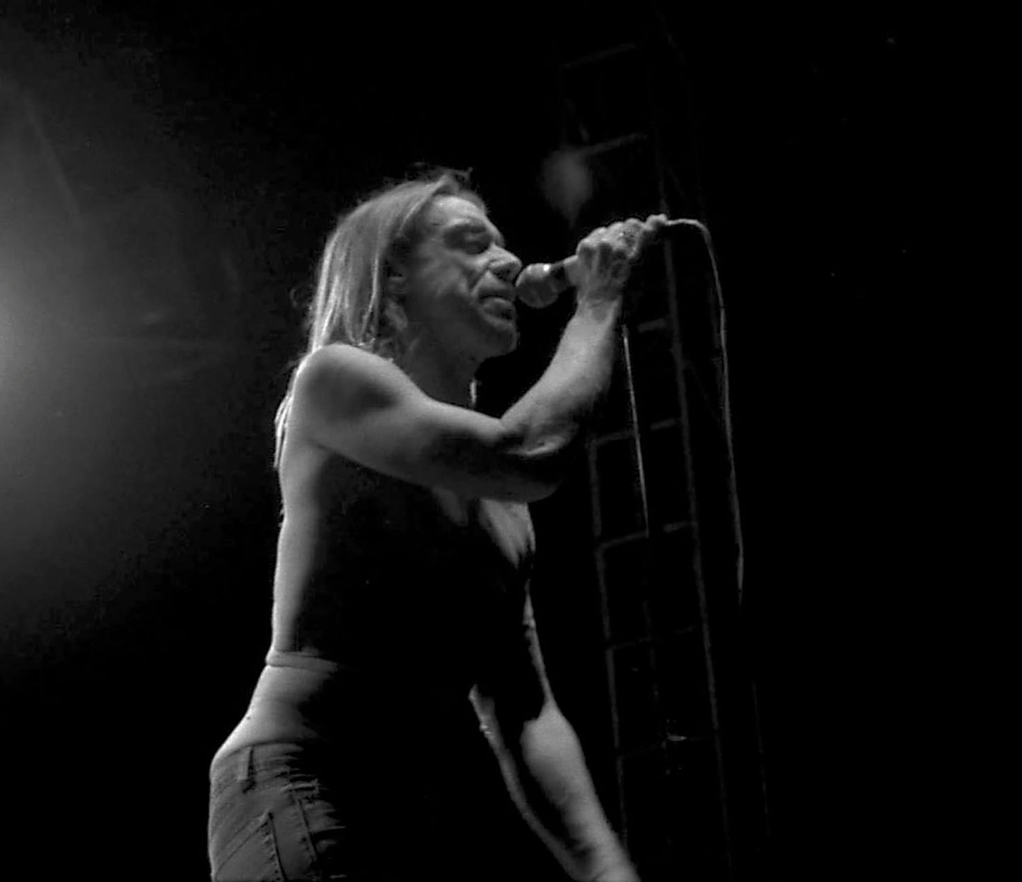 Antonia Tricarico photo, IGGY POP - ATP - LONG BEACH, CA, 2003