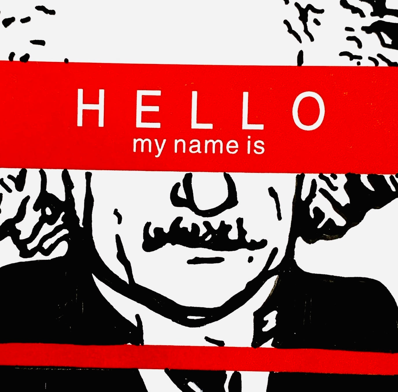 Hello My Name is Albert Einstein | Sanchez McGrath