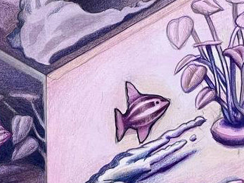 William Donovan | Aquarium Multiple Points of View