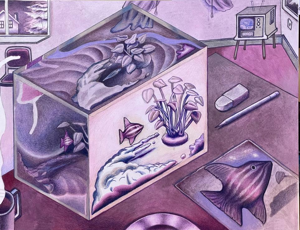 William Donovan | Aquarium Multiple Points of View