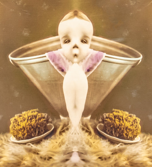 Birdee Boy | Mark Mothersbaugh