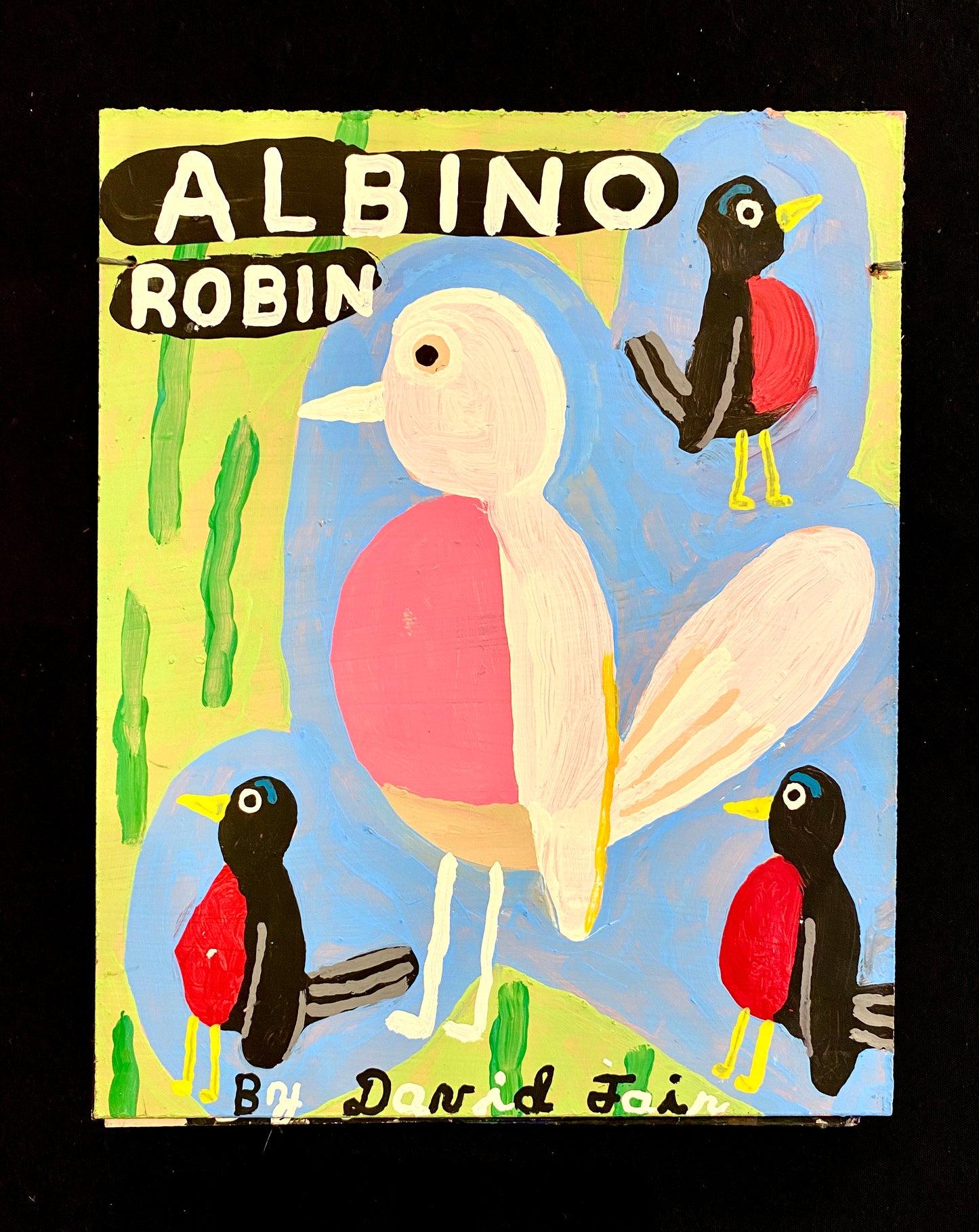 Albino Robin | David Fair
