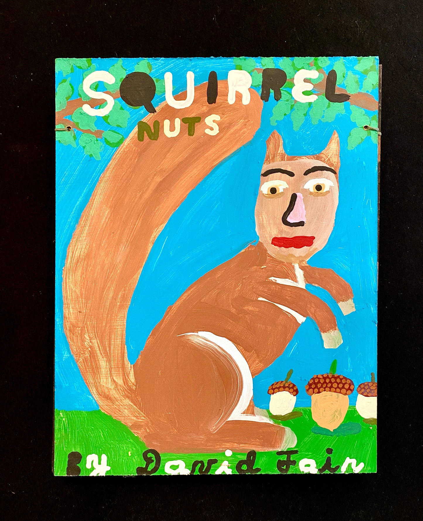 Squirrel Nuts | David Fair