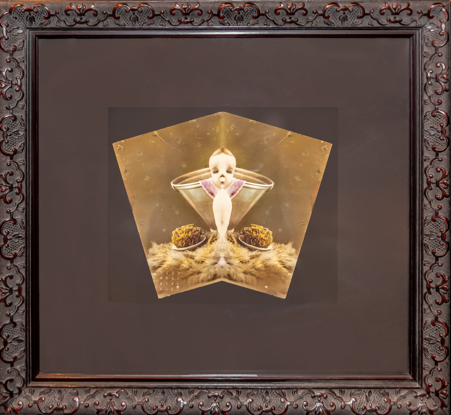Birdee Boy | Mark Mothersbaugh