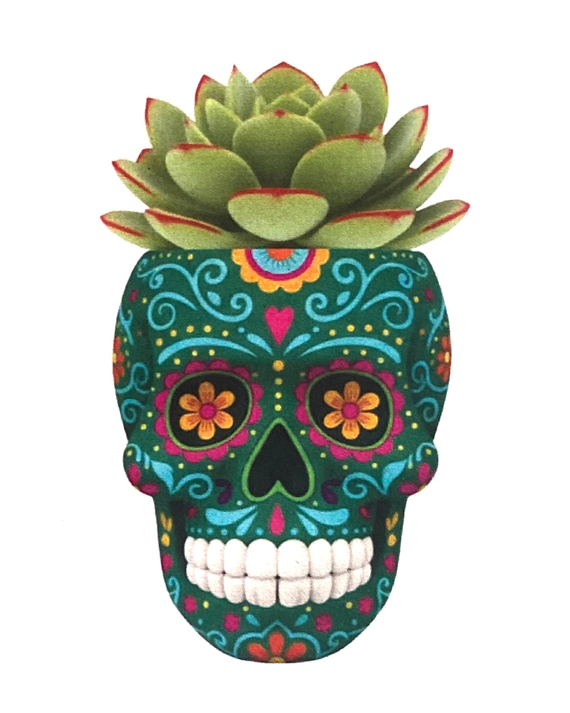 Skull planter with live succulent