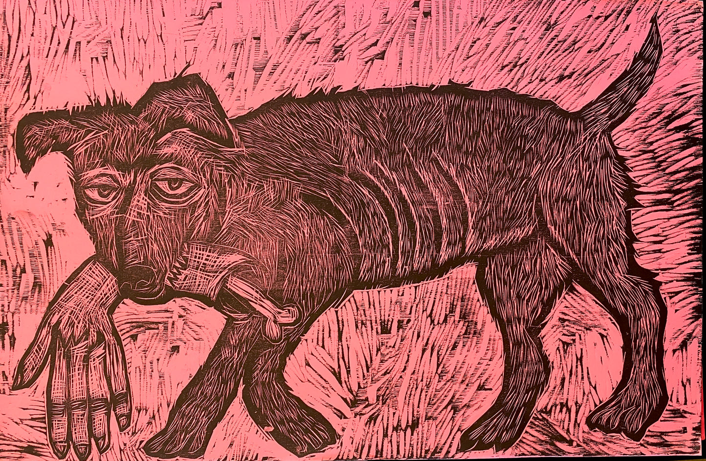 Pink Dog | Sean Starwars