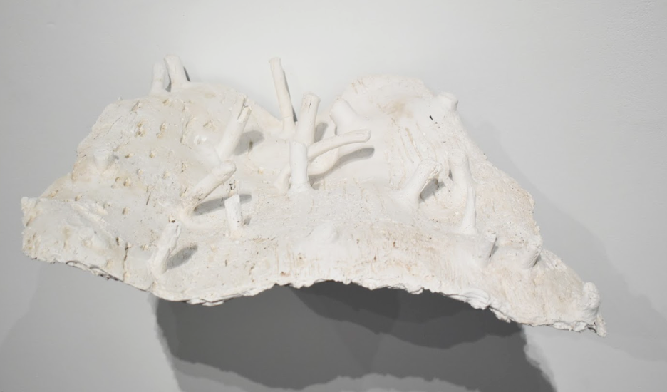 Topography | Asha Cabaca
