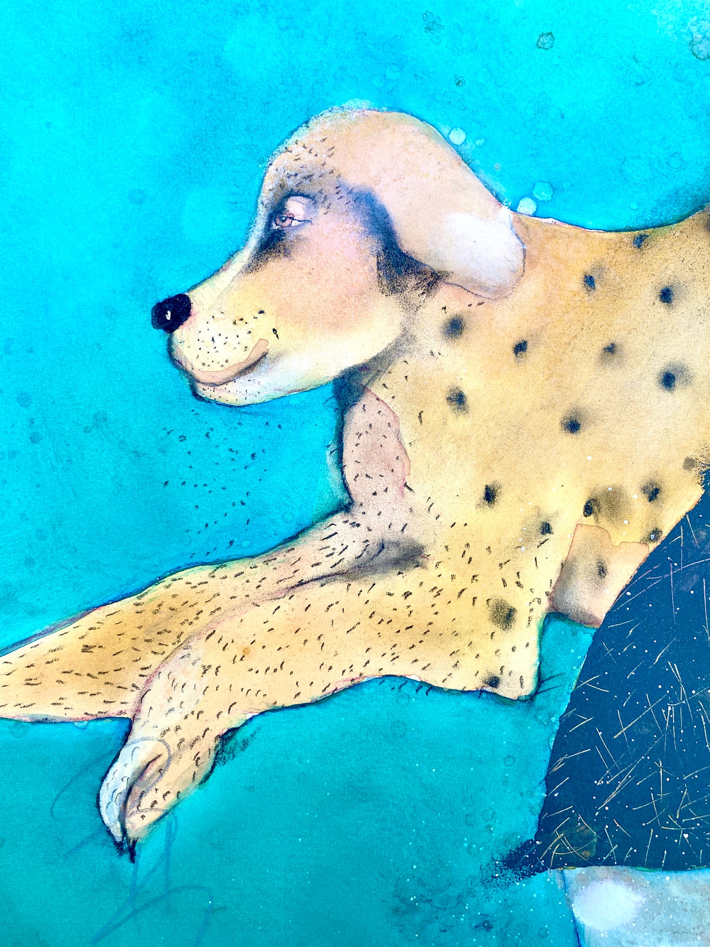 Seaside with Sparky | Vicki Bruner