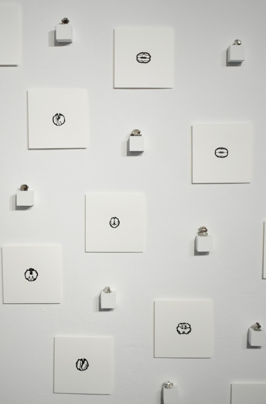 A Look Inside (My Guru is a Squirrel) | Asha Cabaca