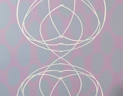 Paisley Park | Scott Turri