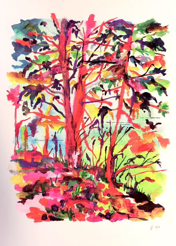 VACONFINEMANCES silkscreen print | Silio Durt