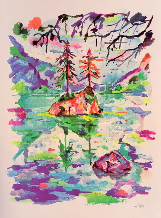 VACONFINEMANCES silkscreen print | Silio Durt