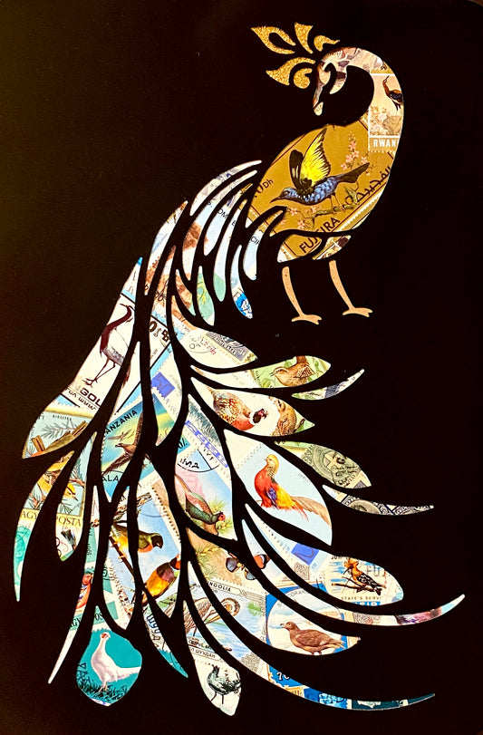 Feathered Friends  |  Darren Smith