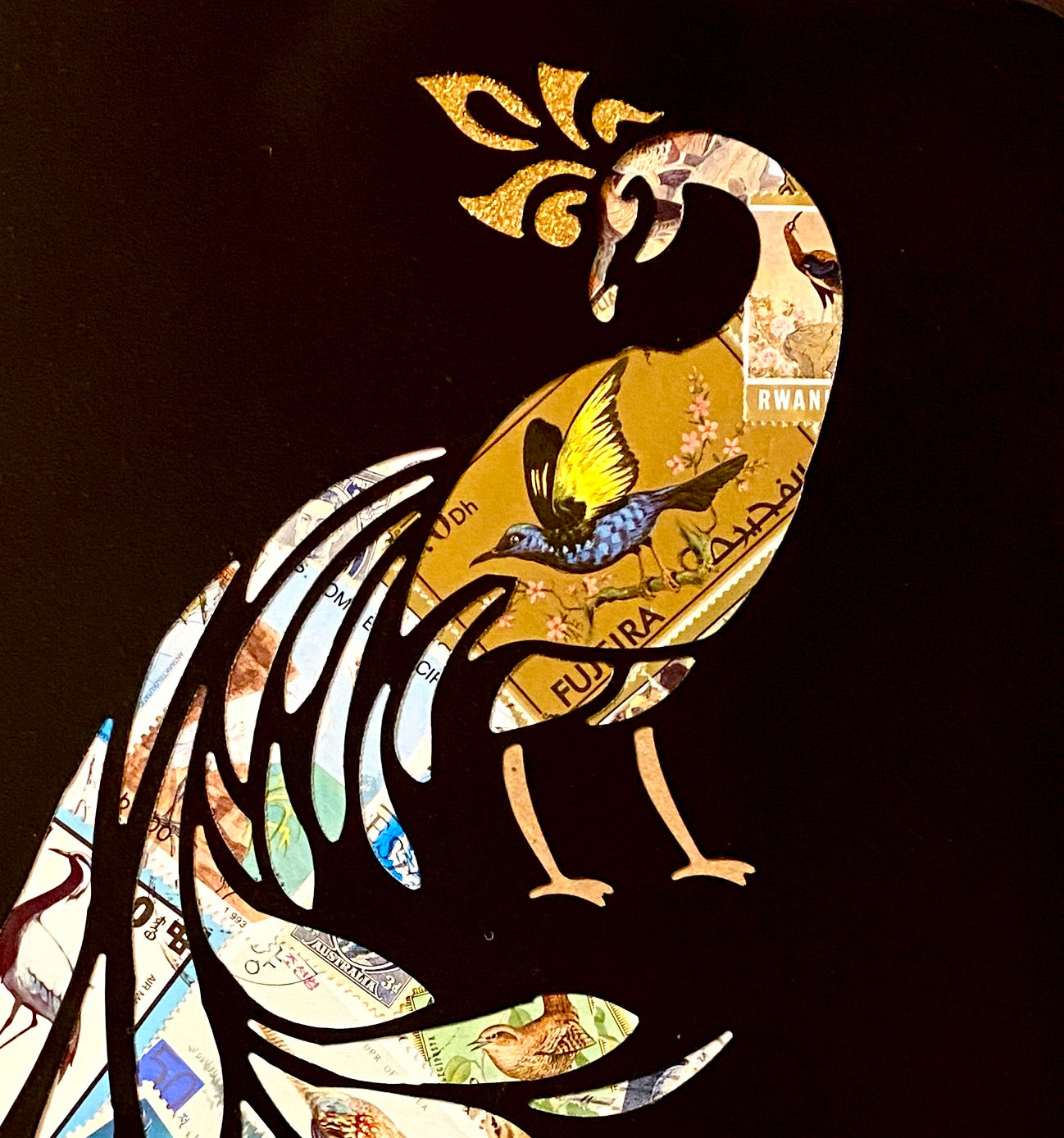 Feathered Friends  |  Darren Smith