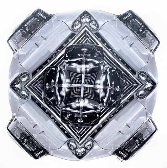 Zoom Bloom  |  Darren Smith