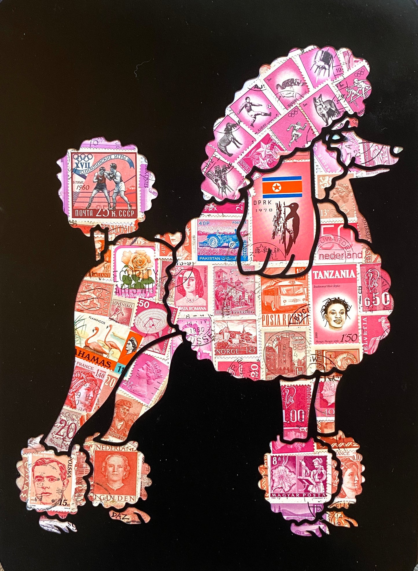 Best in Show  |  Darren Smith