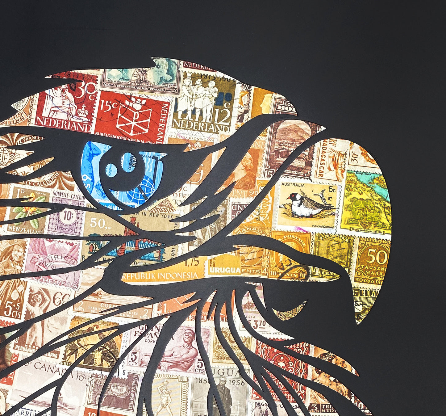 Eagle Eye  |  Darren Smith