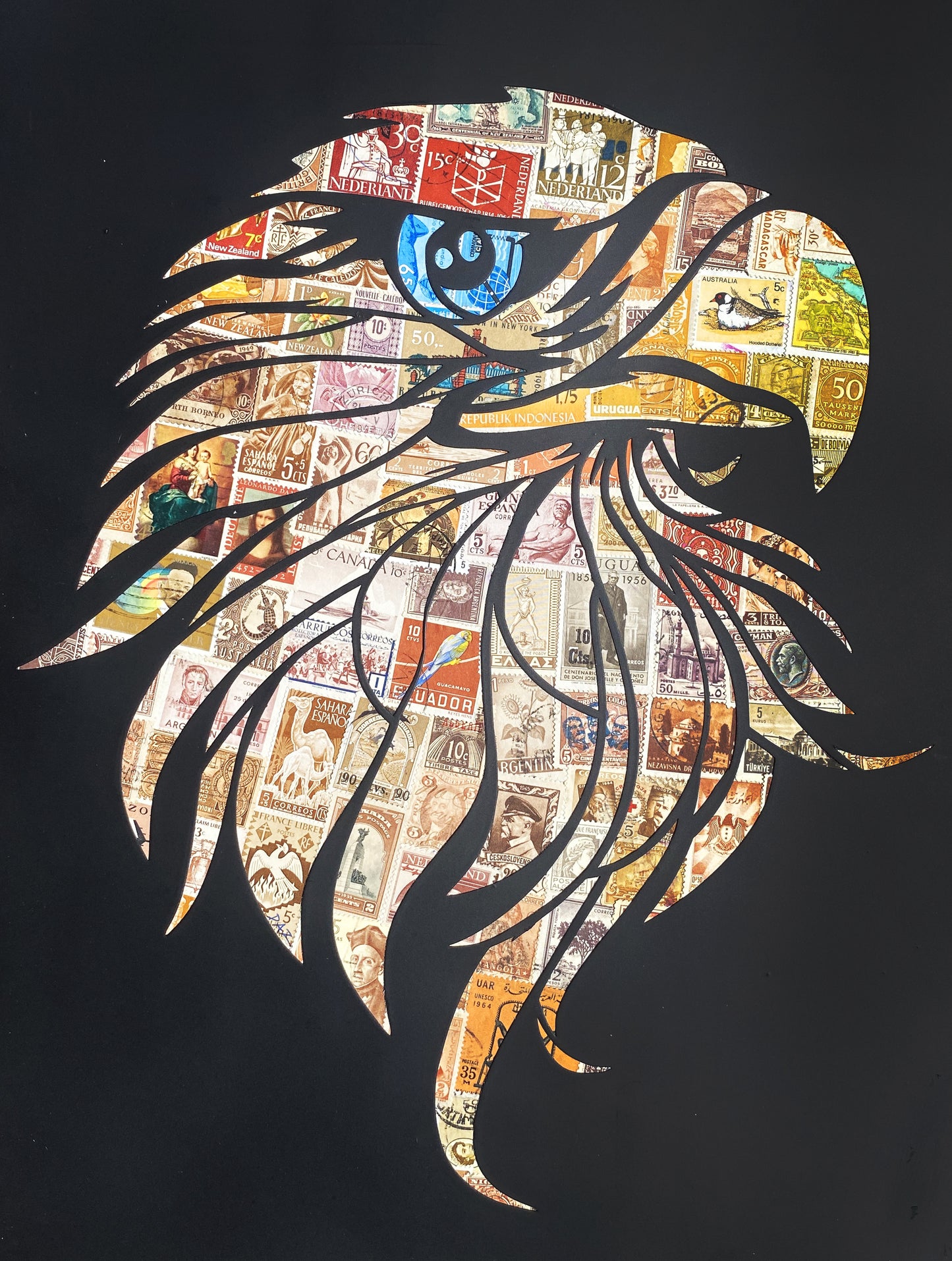 Eagle Eye  |  Darren Smith