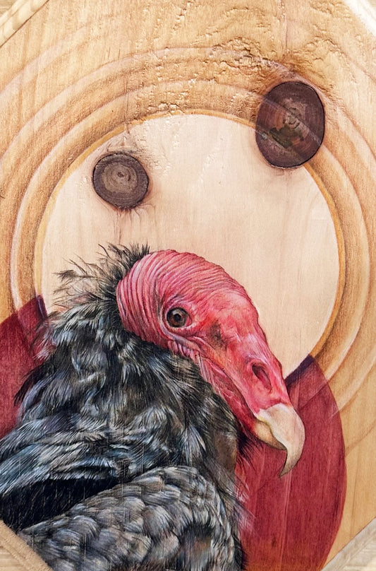 Always Watching | Shay McCafferty