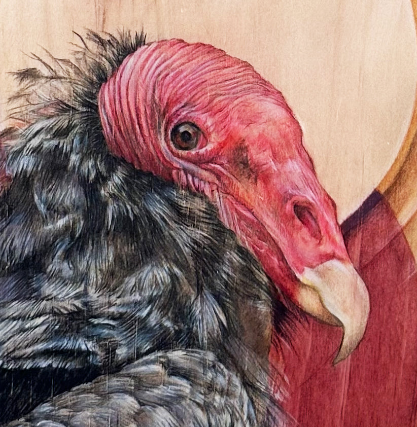 Always Watching | Shay McCafferty