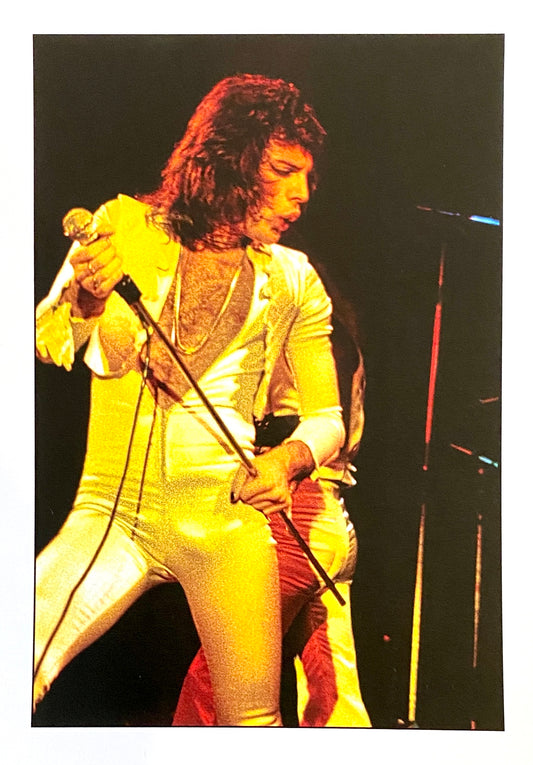 Queen Freddie Mercury postcard  |  Chester Simpson