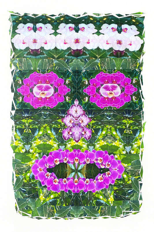Aloha  |  Darren Smith