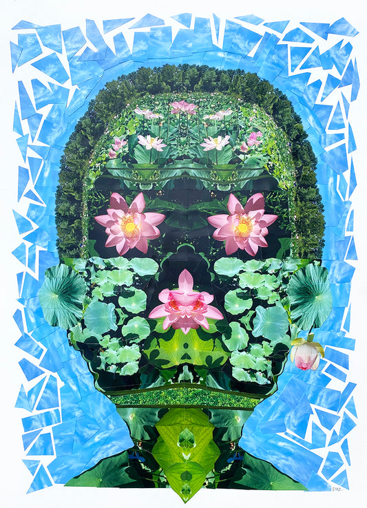 Lotus Pose  |  Darren Smith