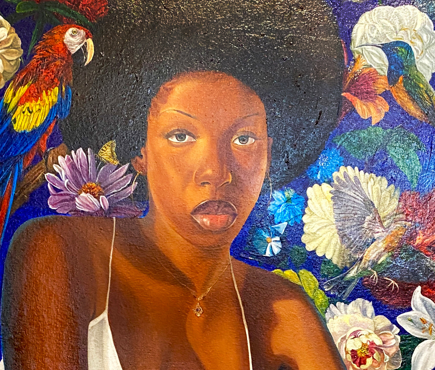 Free Like a Bird "An Idea of Freedom"  | Kelani Fatai