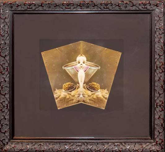 Birdee Boy | Mark Mothersbaugh