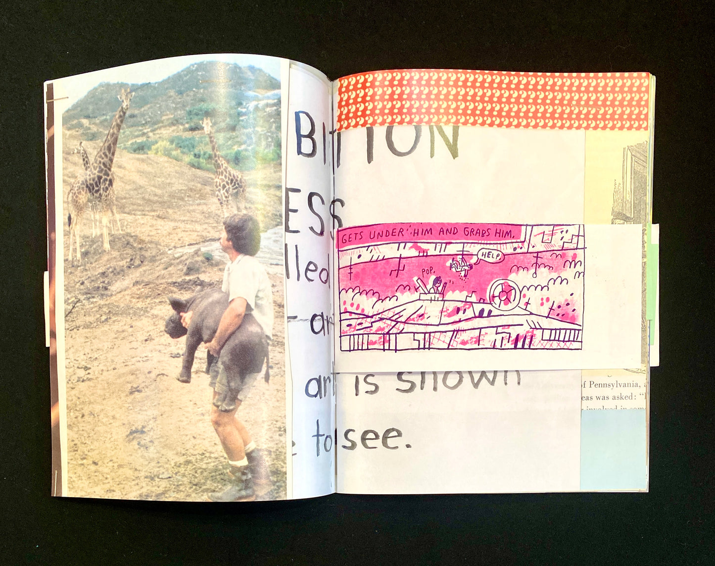 HOARDACULTURE VOL. 1 ZINE | Mark Todd and Esther Pearl Watson