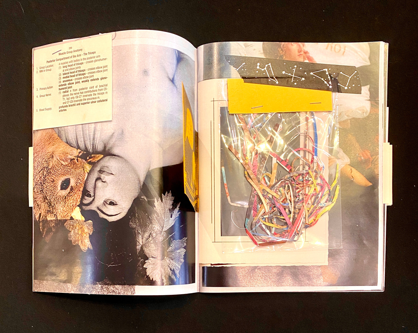 HOARDACULTURE VOL. 2 ZINE | Mark Todd and Esther Pearl Watson