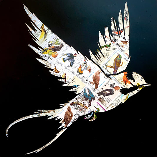 Birds of a Feather  |  Darren Smith