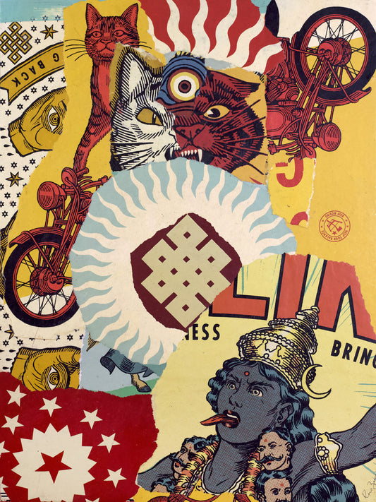 Bring Back  |  Ravi Zupa