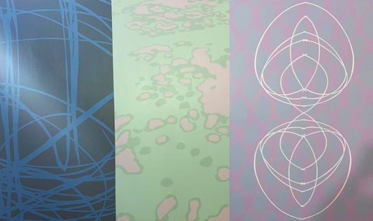 Paisley Park  |  Scott Turri