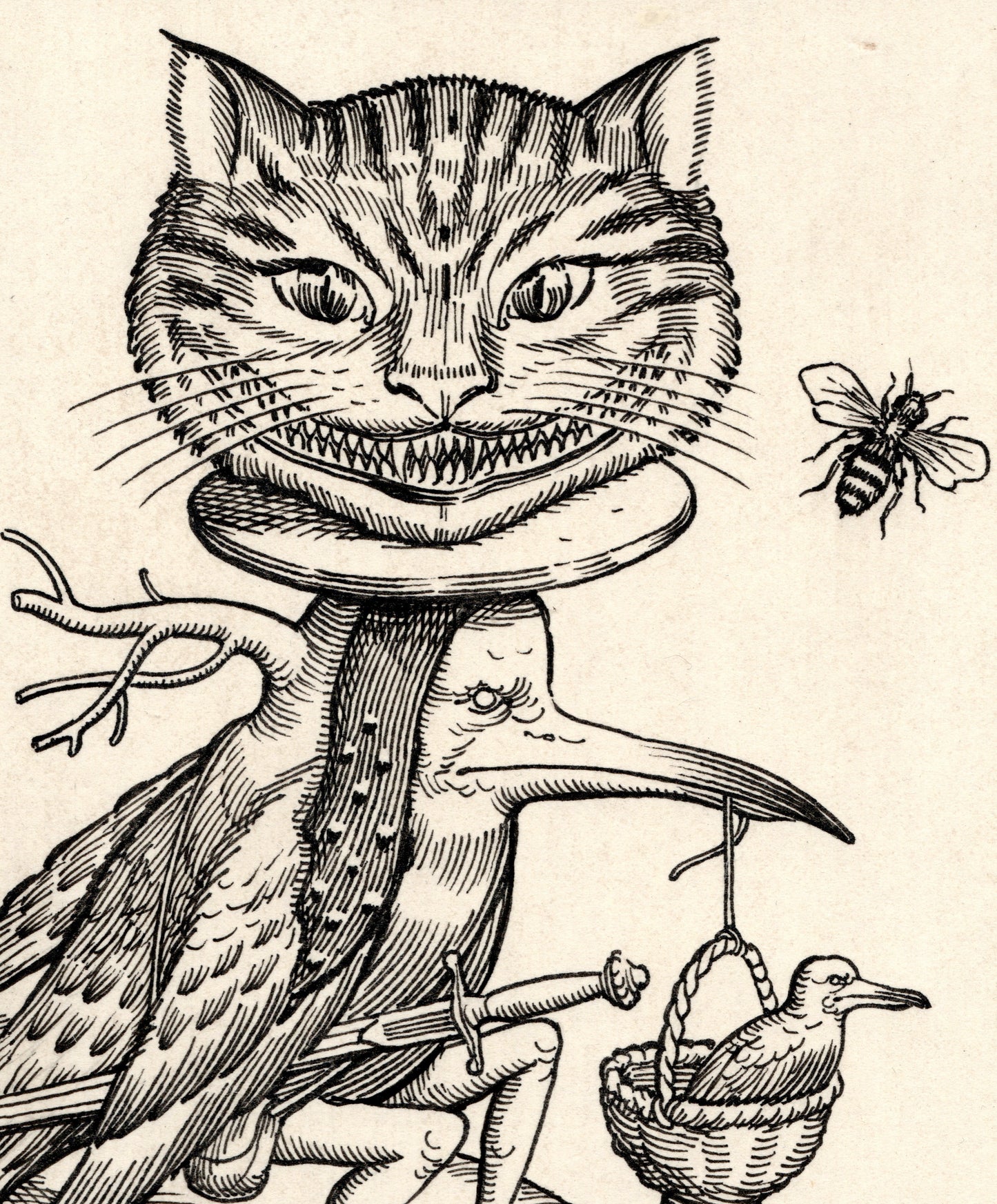 This Elegant Thimble  |  Ravi Zupa
